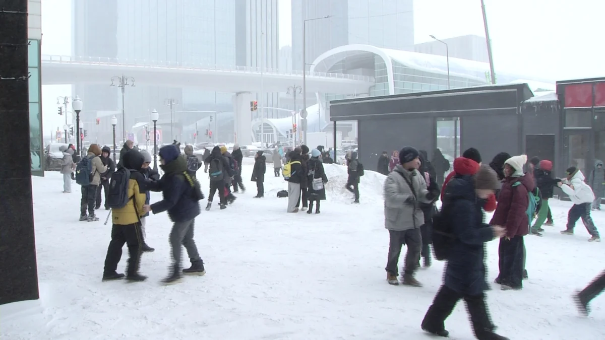Зияткерлік мектепке түсу үшін қосымша білім алу шарт па?
