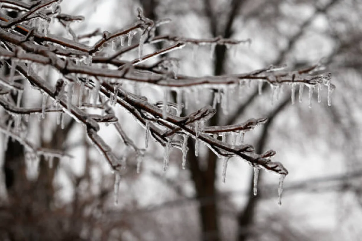Дождь и метель в Астане, +16 в Шымкенте: погода в мегаполисах в понедельник, 9 февраля