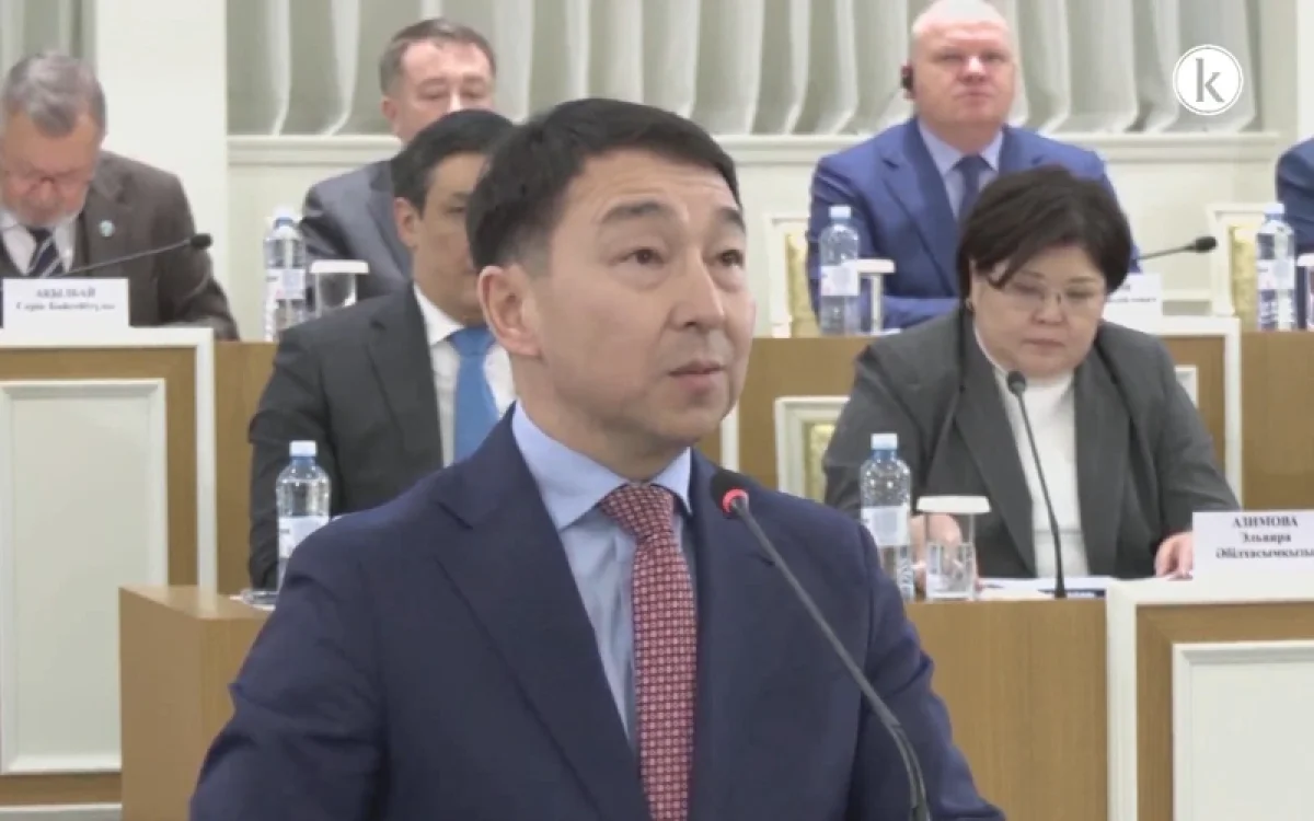 Конституциялық комиссия жаңа Ата заңда волонтерлік қызмет мәртебесін бекітуді қолдады