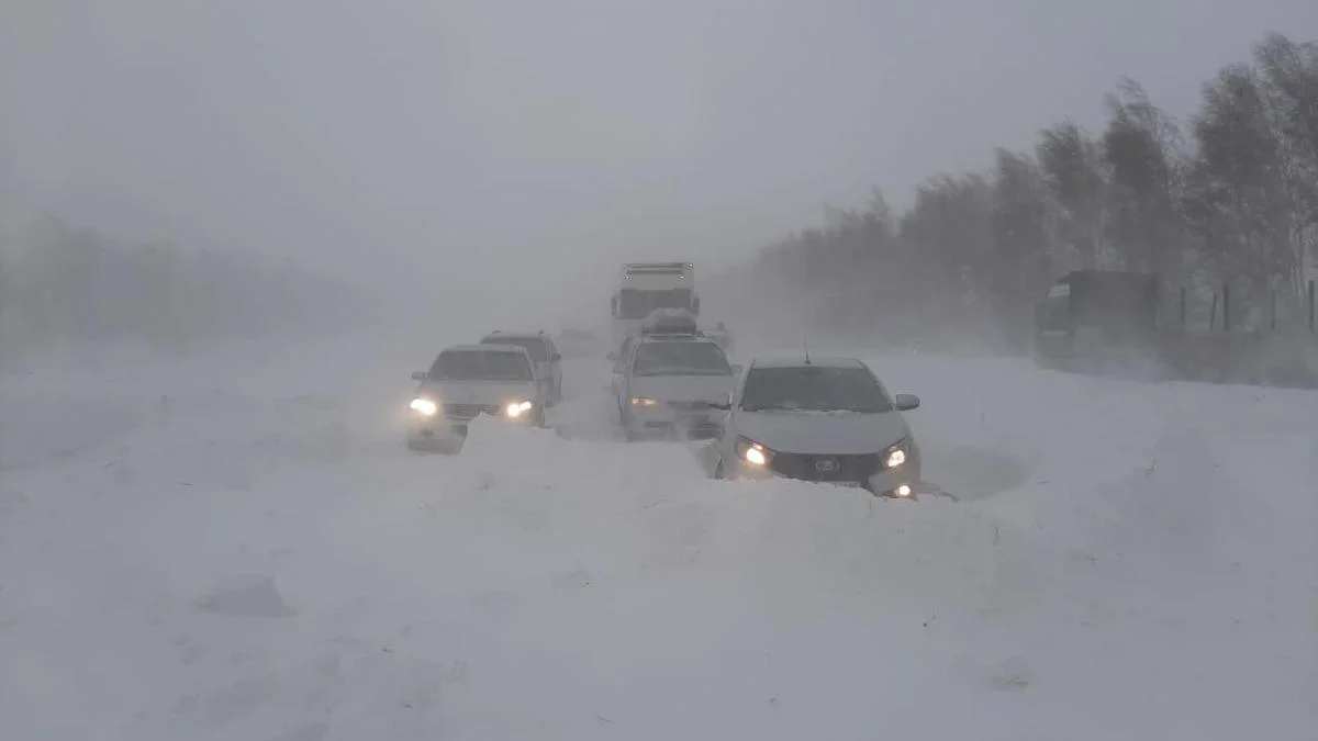 Жолда қалған 12 адам құтқарылды