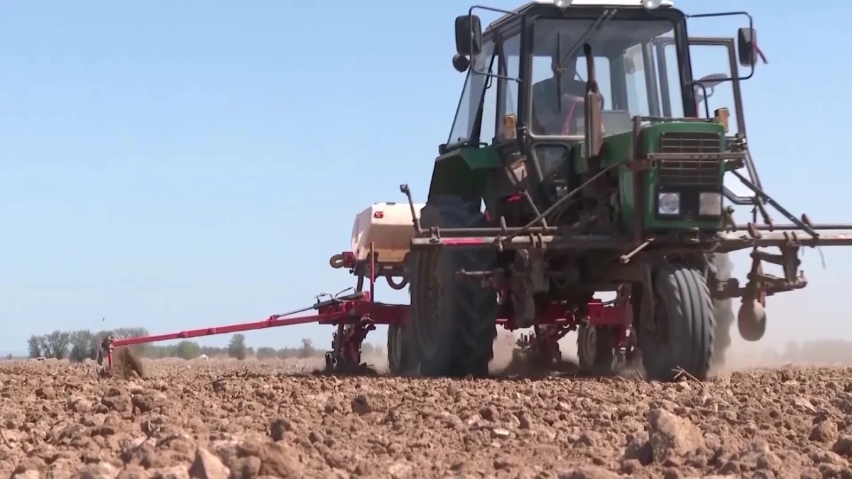 Түркістан облысы Жетісай ауданында дихандар ерте пісетін бақша өнімдерін еге алмай отыр