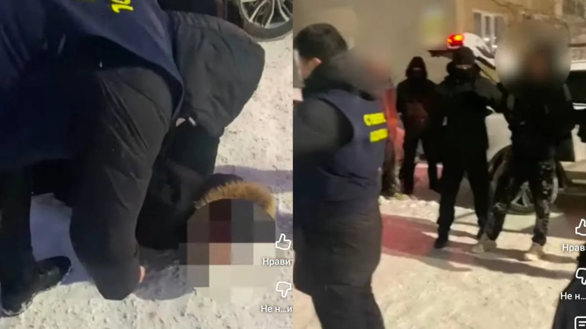 Ақмолада киберполицейлер бірнеше алаяқтық схемаға қатысы бар дропперді ұстады