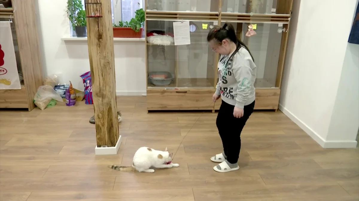 «Место, где помогают не только животным, но и людям»: алматинка с ограниченными возможностями открыла необычную гостиницу для питомцев