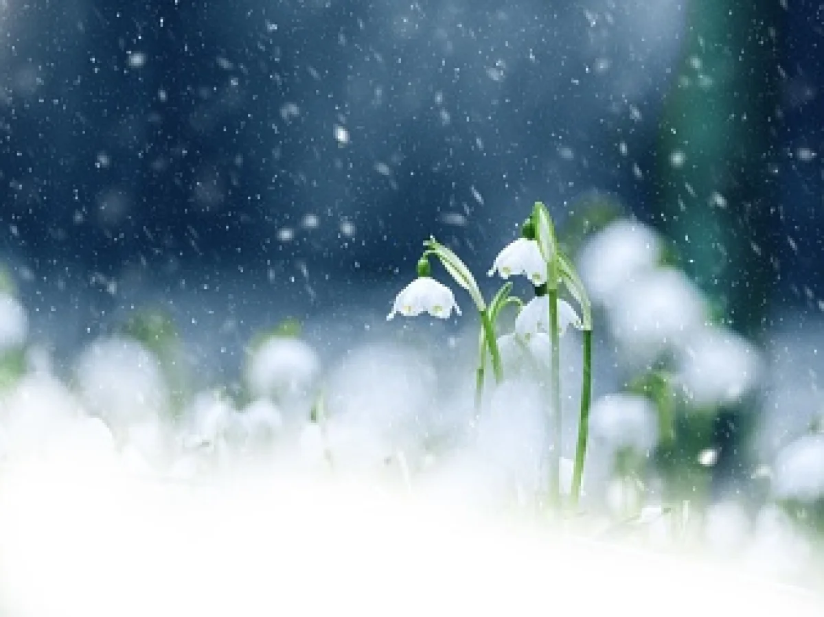 Сильные осадки ударят по югу, а морозы – по всему Казахстану