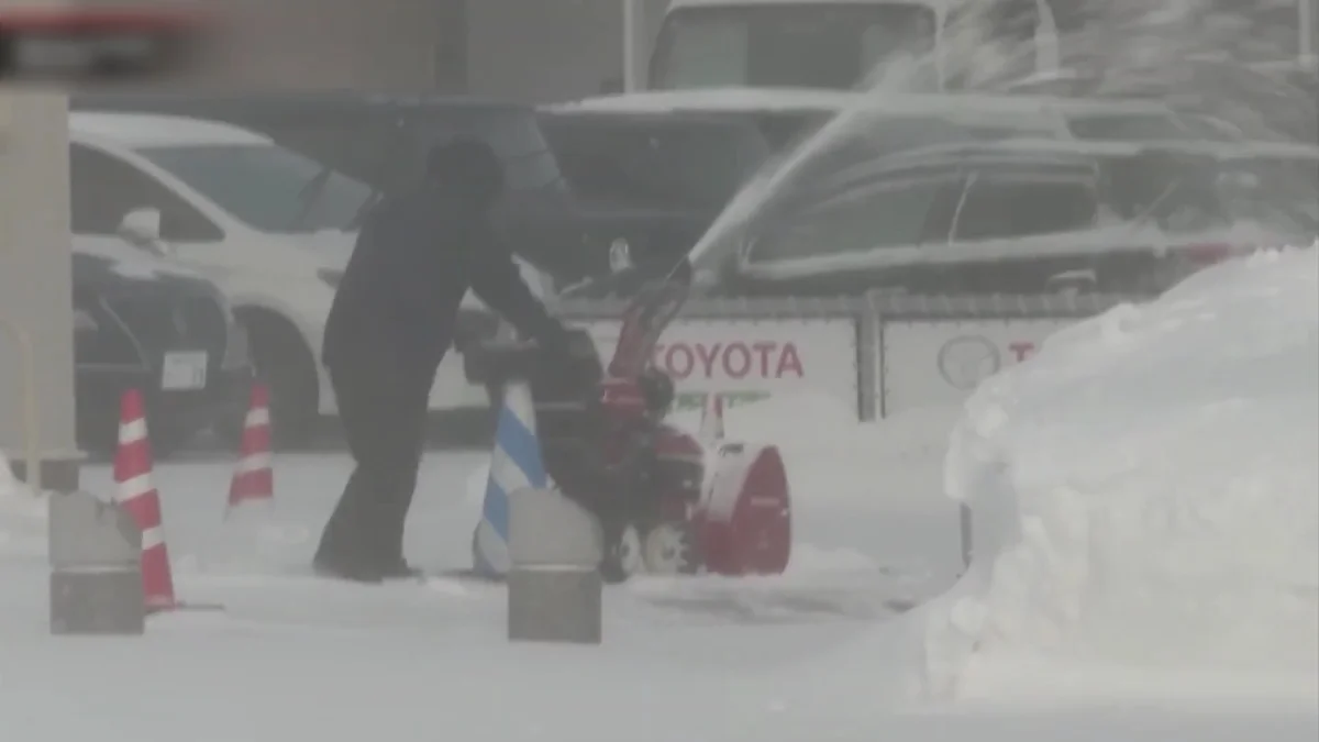 Жапонияда қалың қардан 46 адам қаза тапты