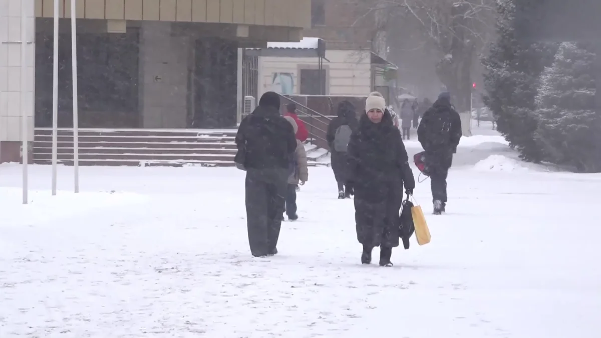 Два пастуха замерзли насмерть в Западном Казахстане: возбуждено уголовное дело