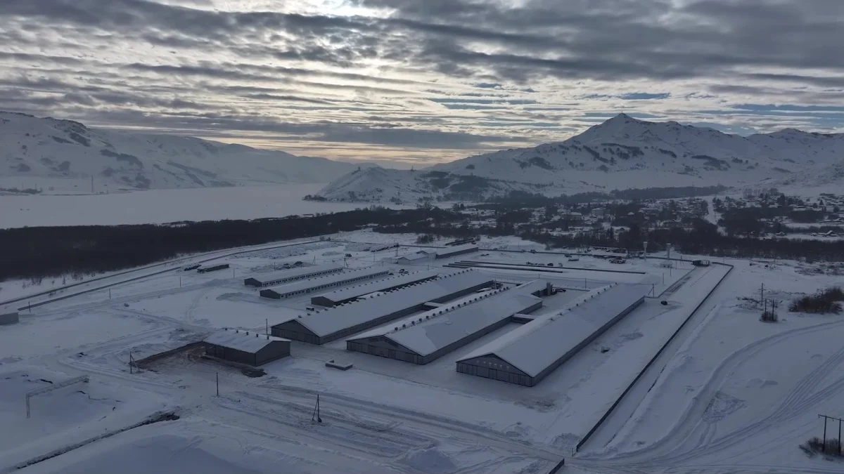 Программу переселения пересмотрели в Восточном Казахстане после участившихся фактов мошенничества