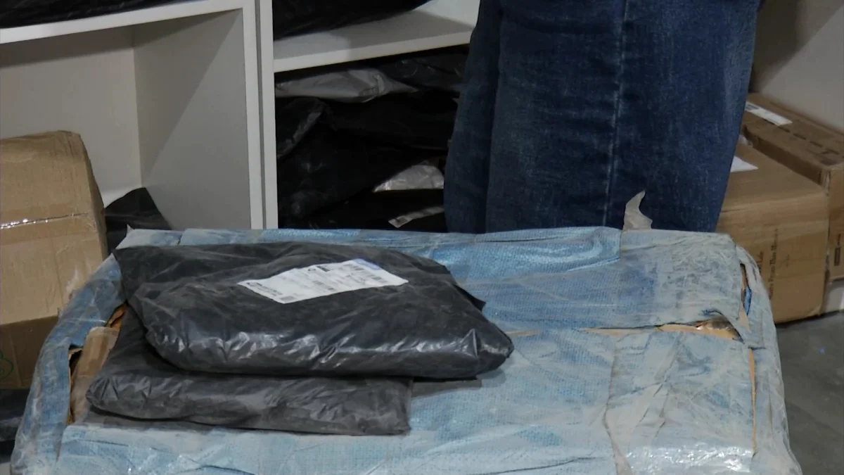 Казахстанцы заказывают из Китая редких птиц и животных: чем опасен такой товар