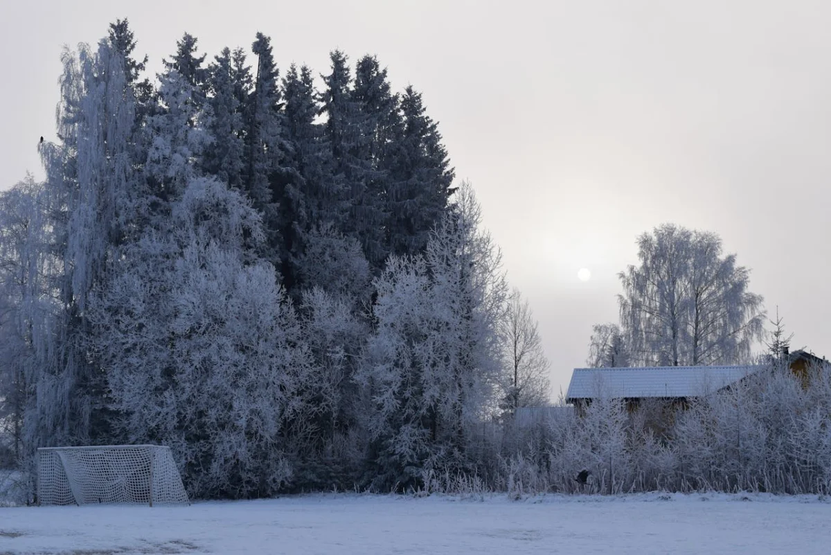 Погода 14 февраля 2026: морозы в Астане и тёплые дожди в Шымкенте