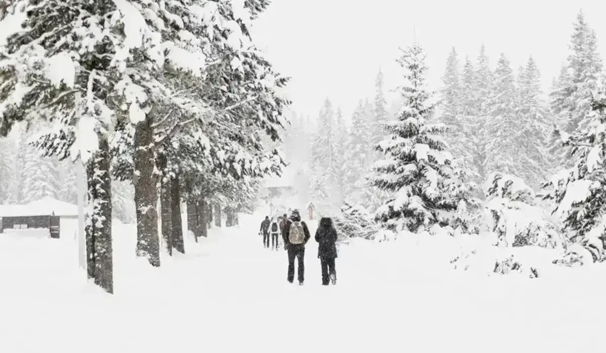 Ертең қалың қар жауып, күн суытады