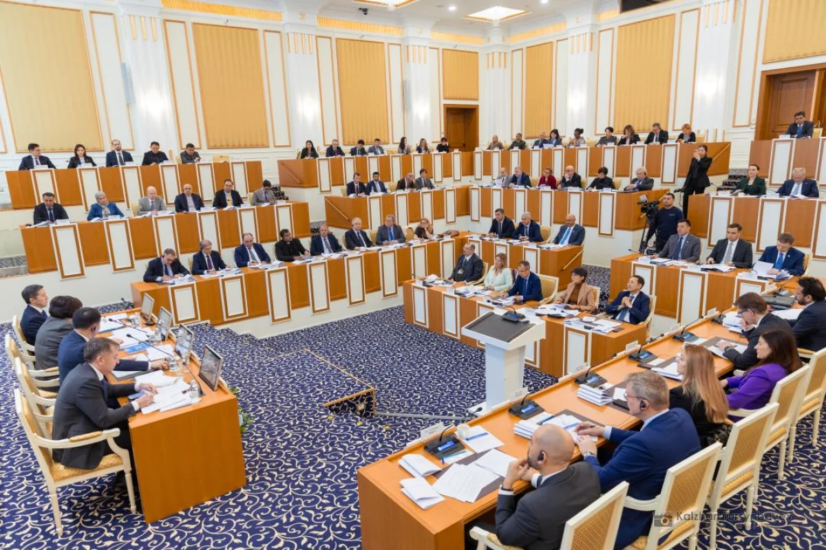 Международные наблюдатели оценили прозрачность конституционной реформы Казахстана