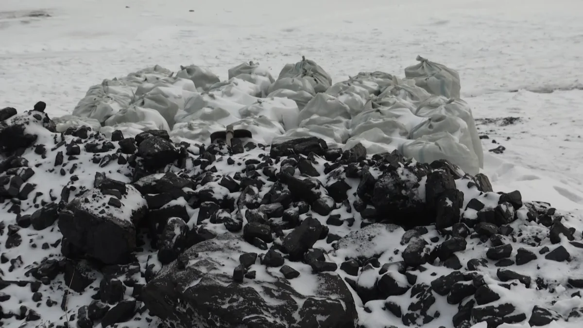 "Қоршаған ортаға зиян келтірмей көмір энергетикасын дамытудың бірнеше жолы бар",-депутат