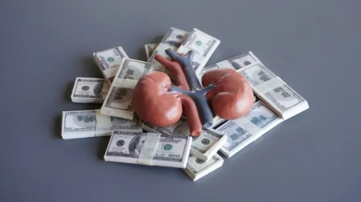 Бүйрегін 13 млн теңгеге сатпақ болған