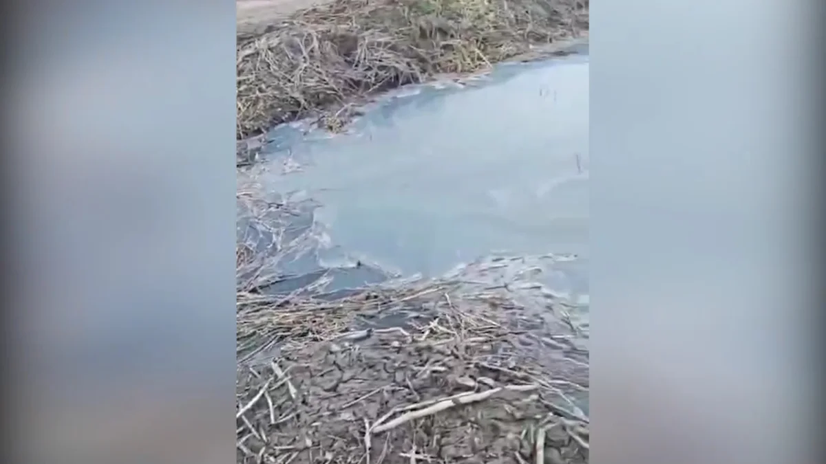 Нечистотами затопило территорию частных домов в микрорайоне Петропавловска