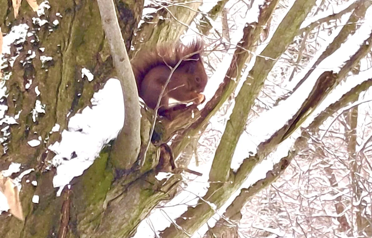 Сильный ветер и осадки ожидаются во всех мегаполисах в субботу, 21 февраля