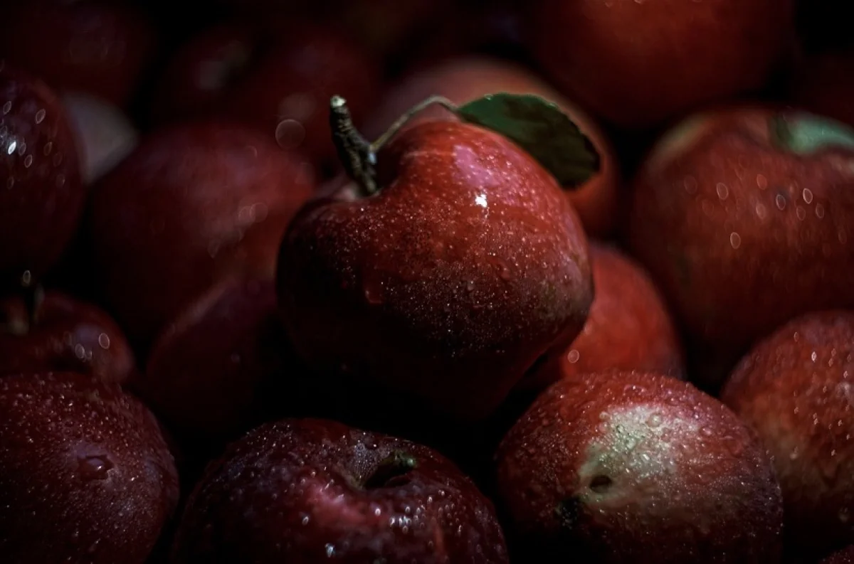 Казахстанский апорт готовится к выходу на европейский рынок