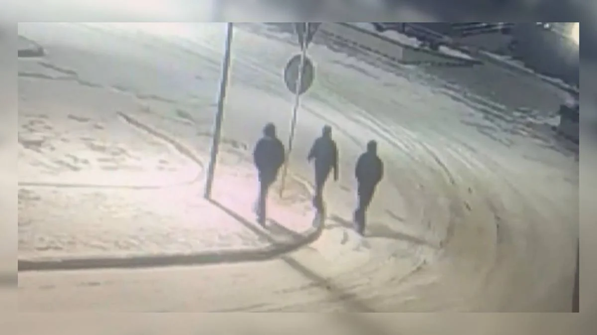 20 млн теңге шығын: Қарағанды облысында ұрлықпен айналысқан қылмыстық топтың жолы кесілді