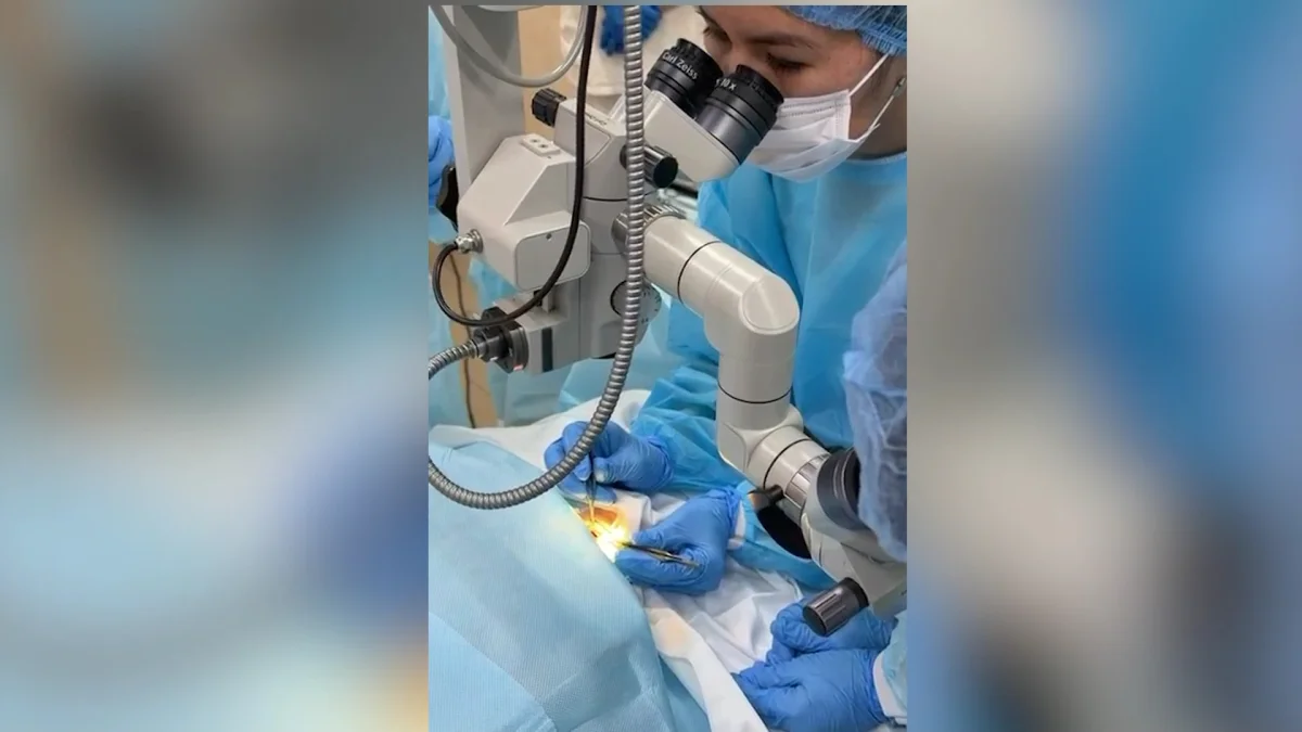 Павлодарда 3 жастағы бала абайсызда көзіне қайшы сұғып алды