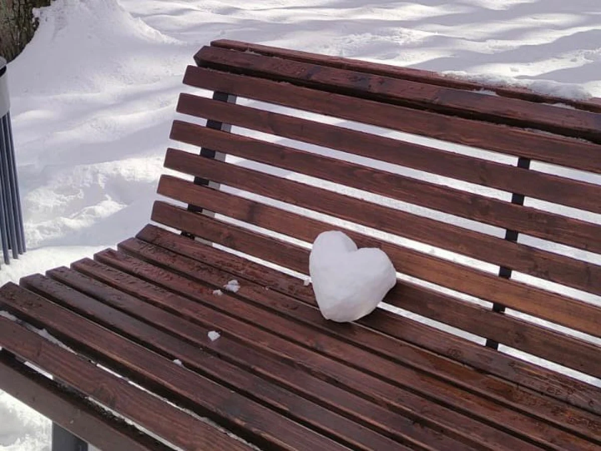 Продуктивный день у Львов, день испытаний у Скорпионов: что сулят звезды в четверг, 26 февраля