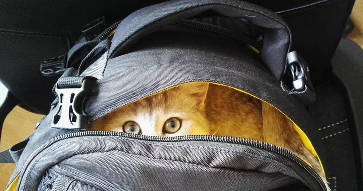 Из-за мороза всех школьников Астаны перевели на онлайн-обучение