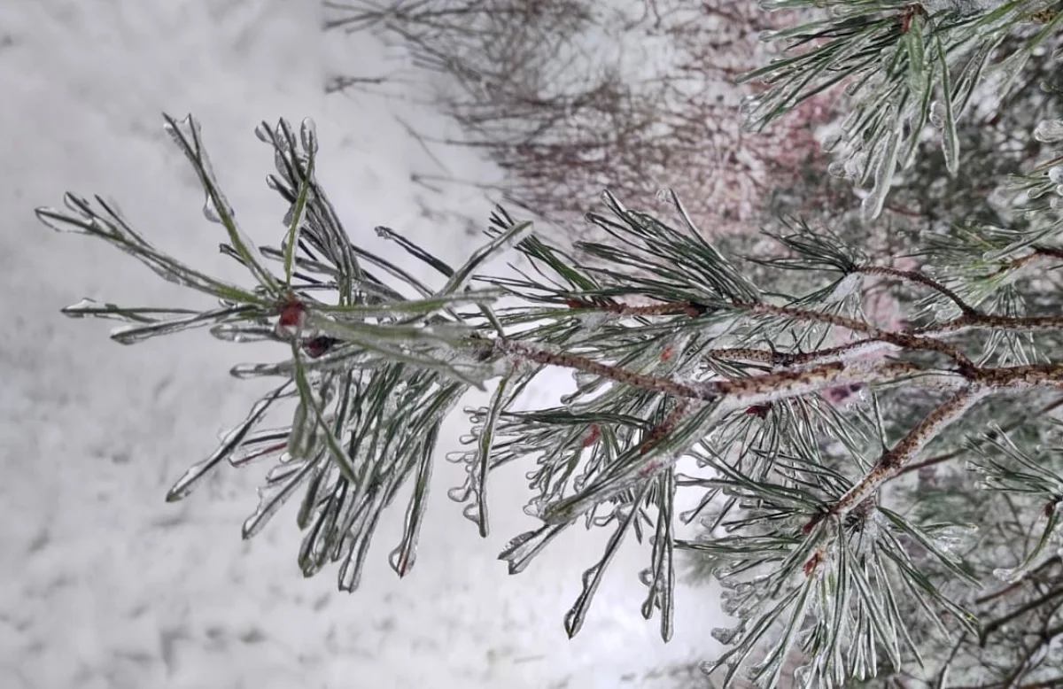 В Астане -33, в Шымкенте дождь: погода пятницу, 27 февраля