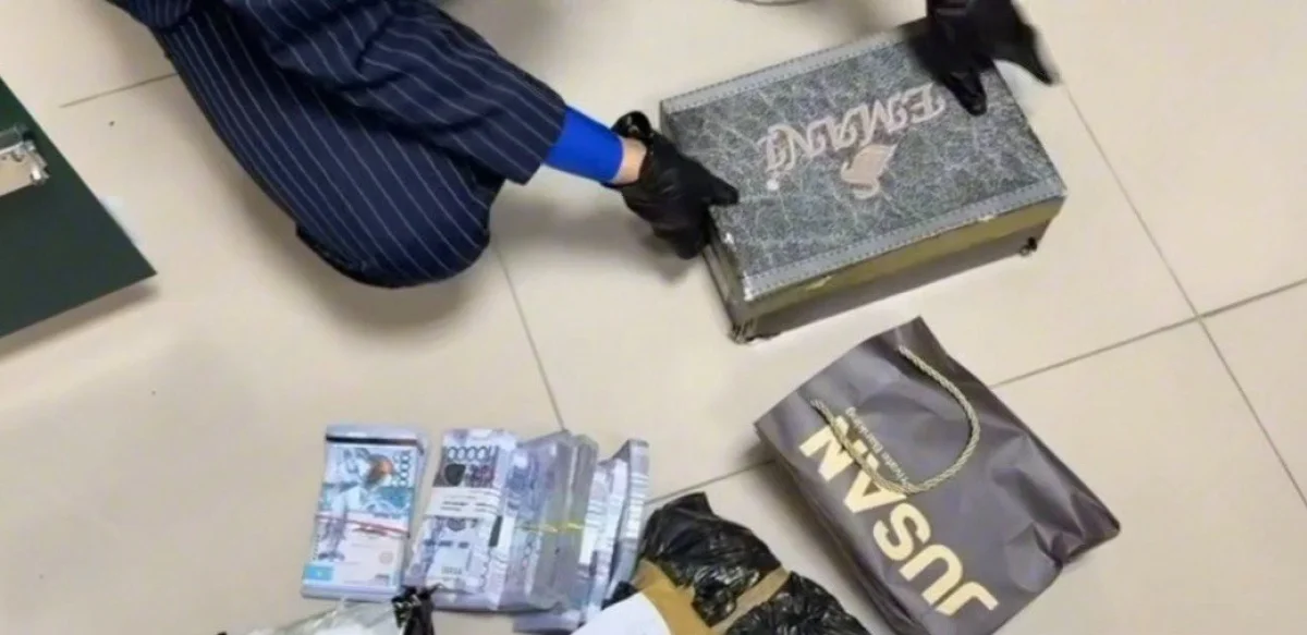 СҚО-да заңсыз қарыз беру арқылы 1,8 млрд теңге табыс тапқан күдікті қамауға алынды