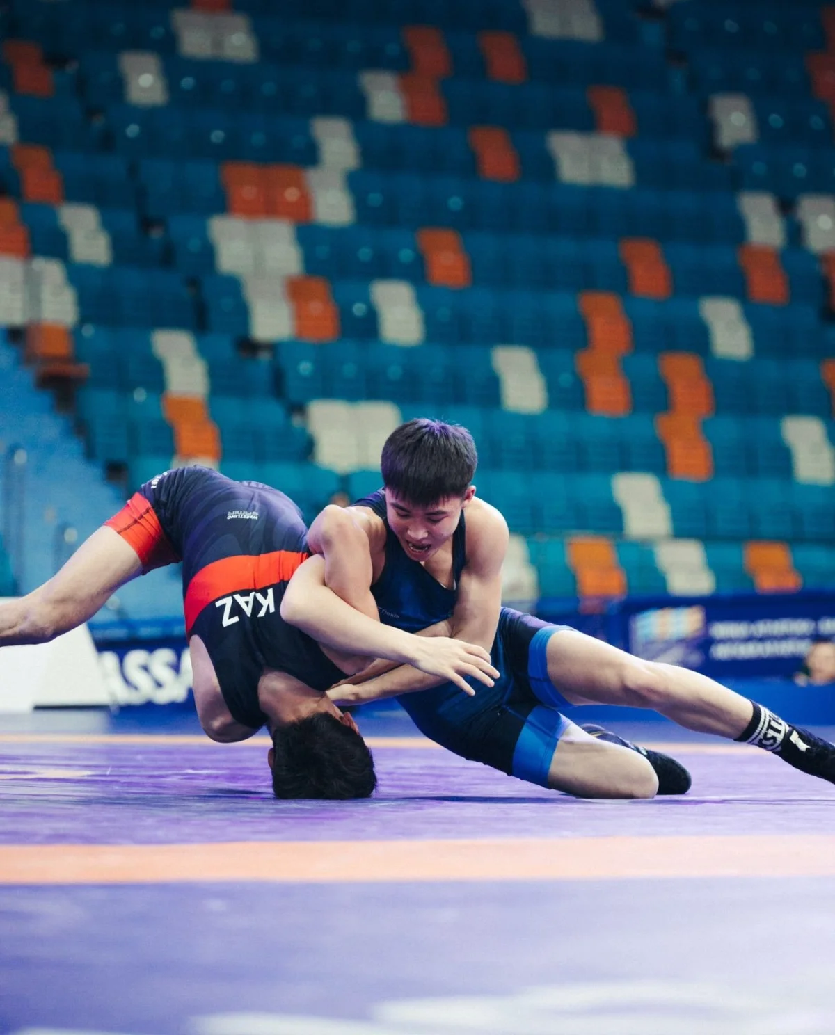 Күрес түрлерінен ел біріншілігі мәресіне жетті