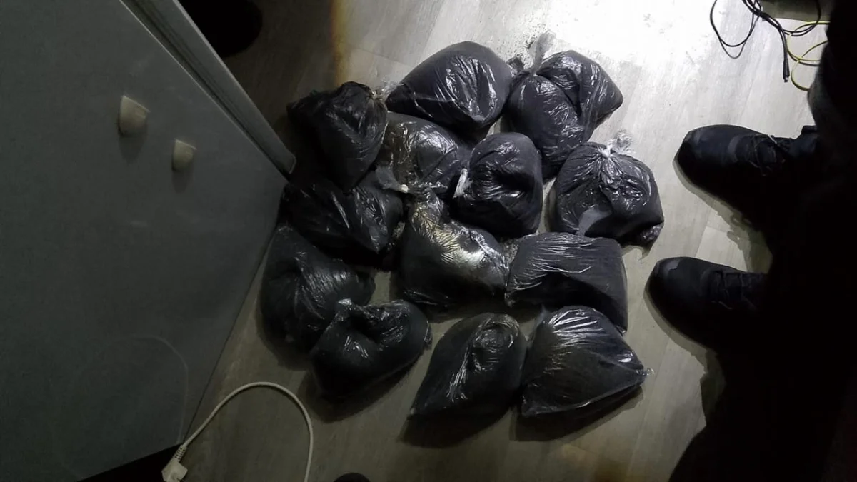 Костанайца задержали с опием и маком