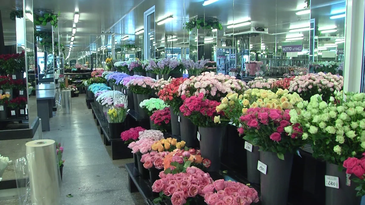 Қазақстанда гүл бағасы шарықтады