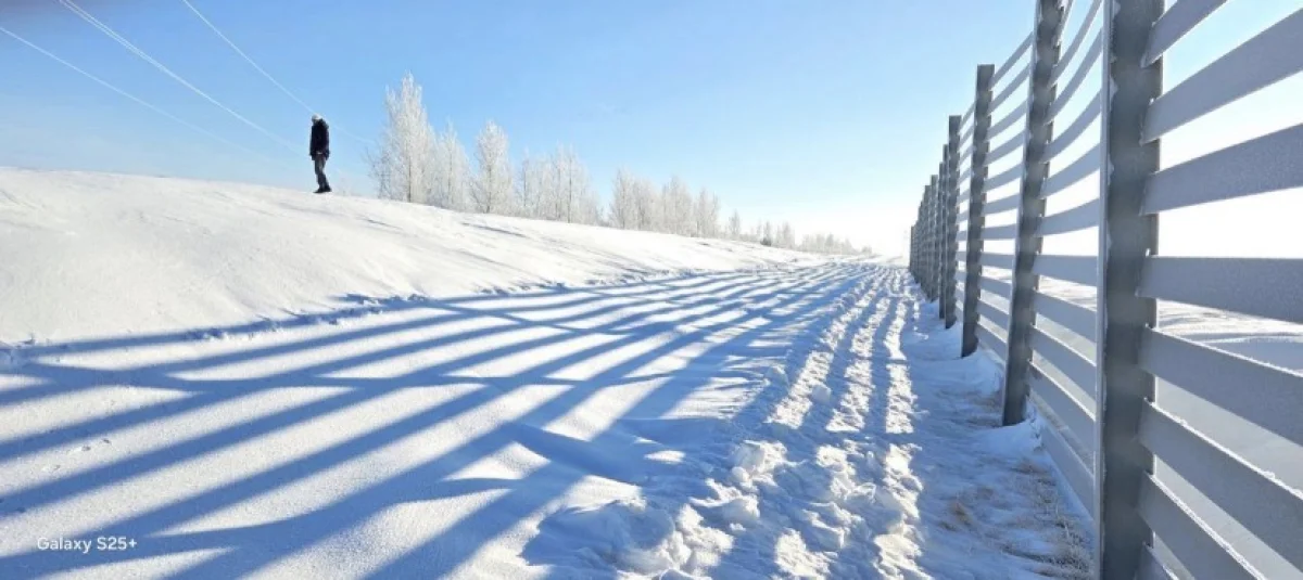 На трассе Астана – Кокшетау испытывают инновационную защиту от снежных заносов