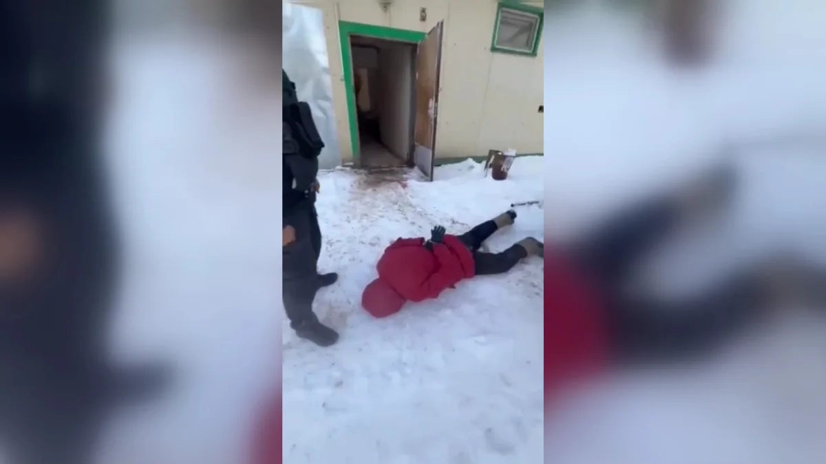 В ЗКО задержан скотокрад, который похитил лошадей и обменял их на автомобиль