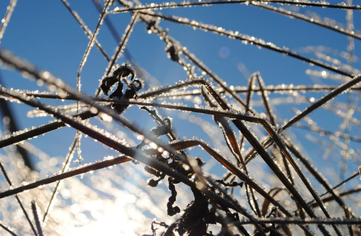 Снег, дождь и гололед: какая погода ожидается в городах Казахстана 6 марта