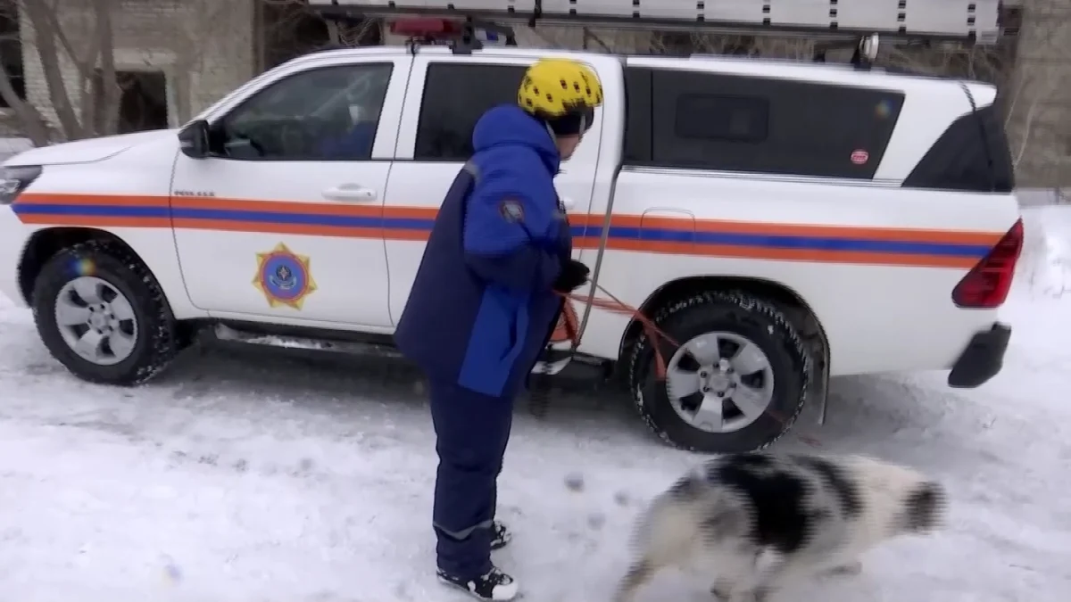 Женщина-кинолог с 20-летним стажем работает в ДЧС Павлодарской области