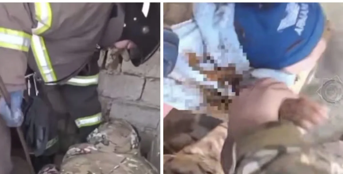 Трехлетний ребёнок упал в уличный туалет в Туркестанской области