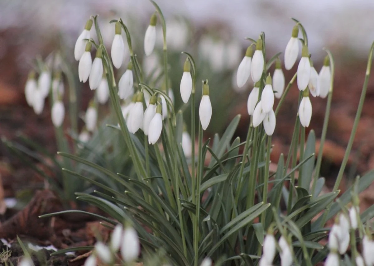 От морозов к плюсовым температурам: прогноз погоды по Казахстану