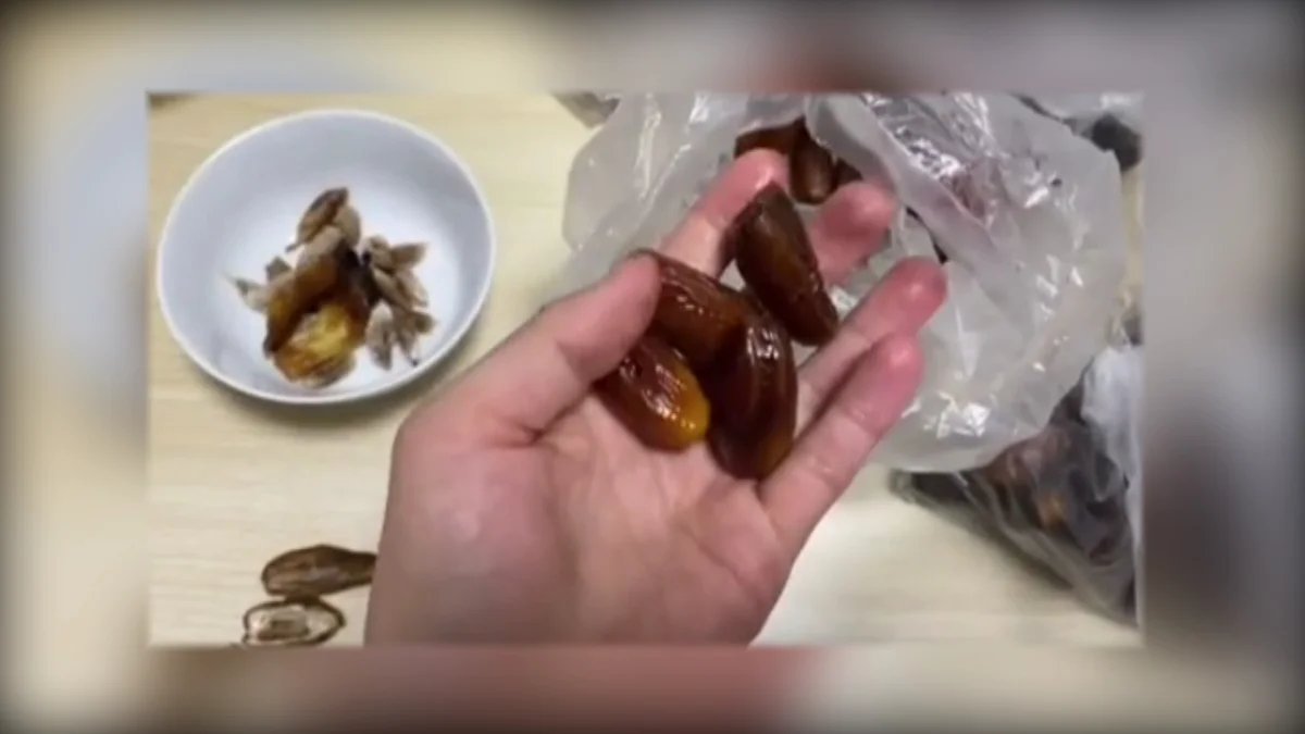 Құрмадан құрт шықты