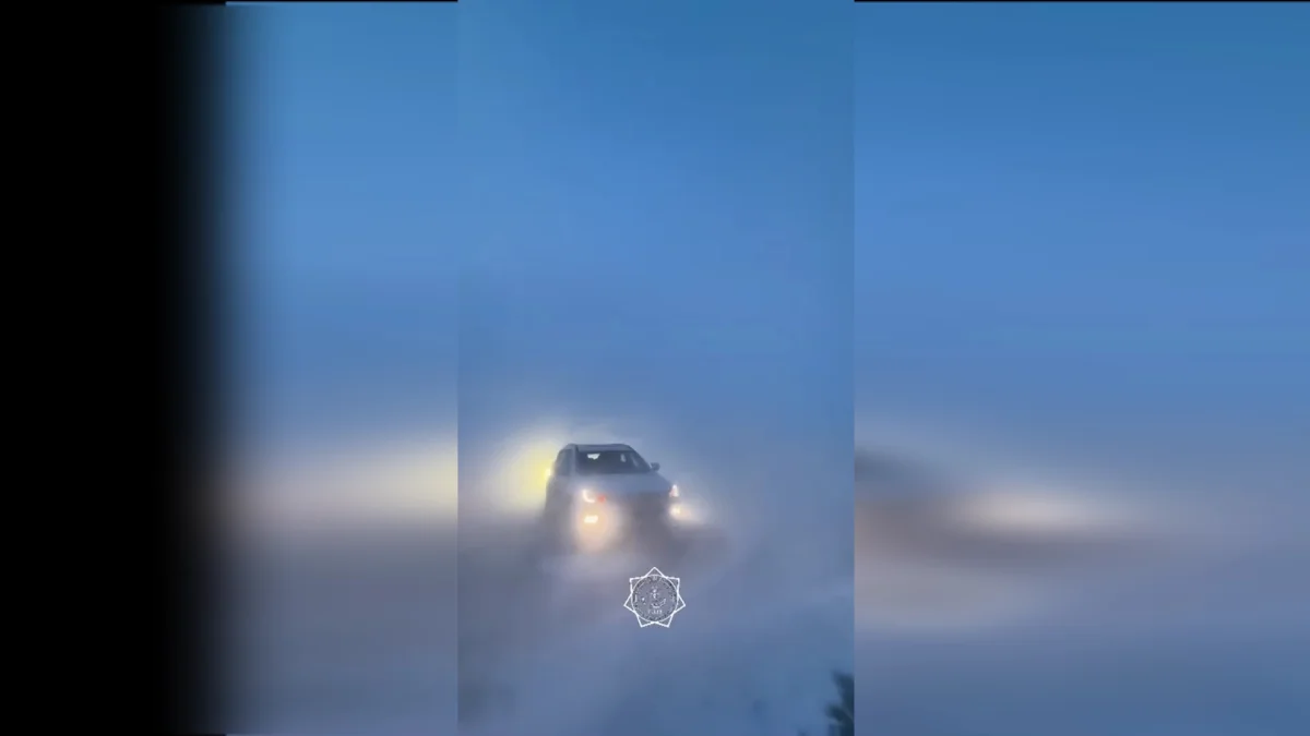 Павлодарда боранда адасып кеткен малшы көз жұмды