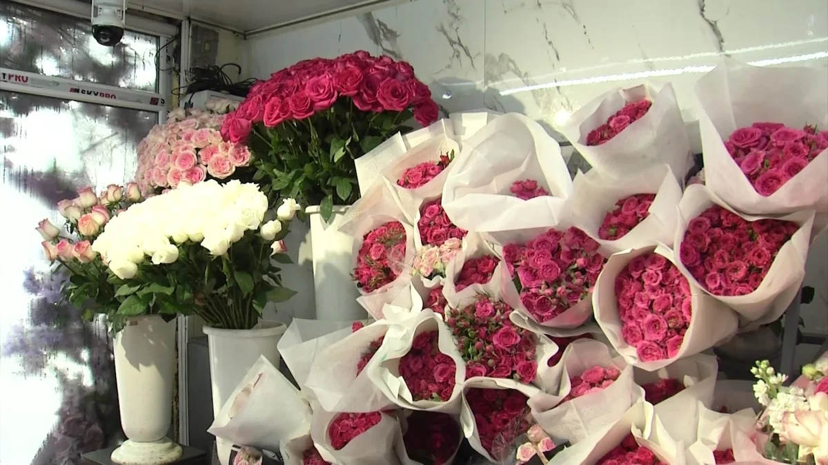 Тюльпан за 100 тенге: в соцсетях массово распродают цветы после праздников