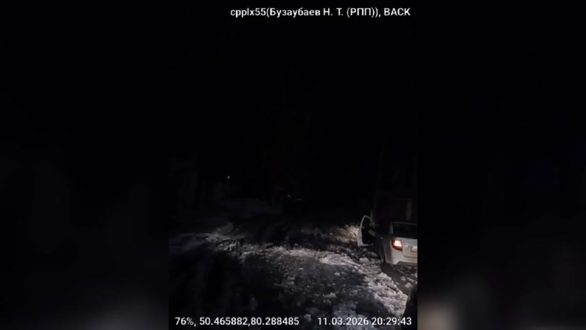 Абай облысында полицейлер қолайсыз ауа райында көлігі суға батқан жүргізушіге көмектесті