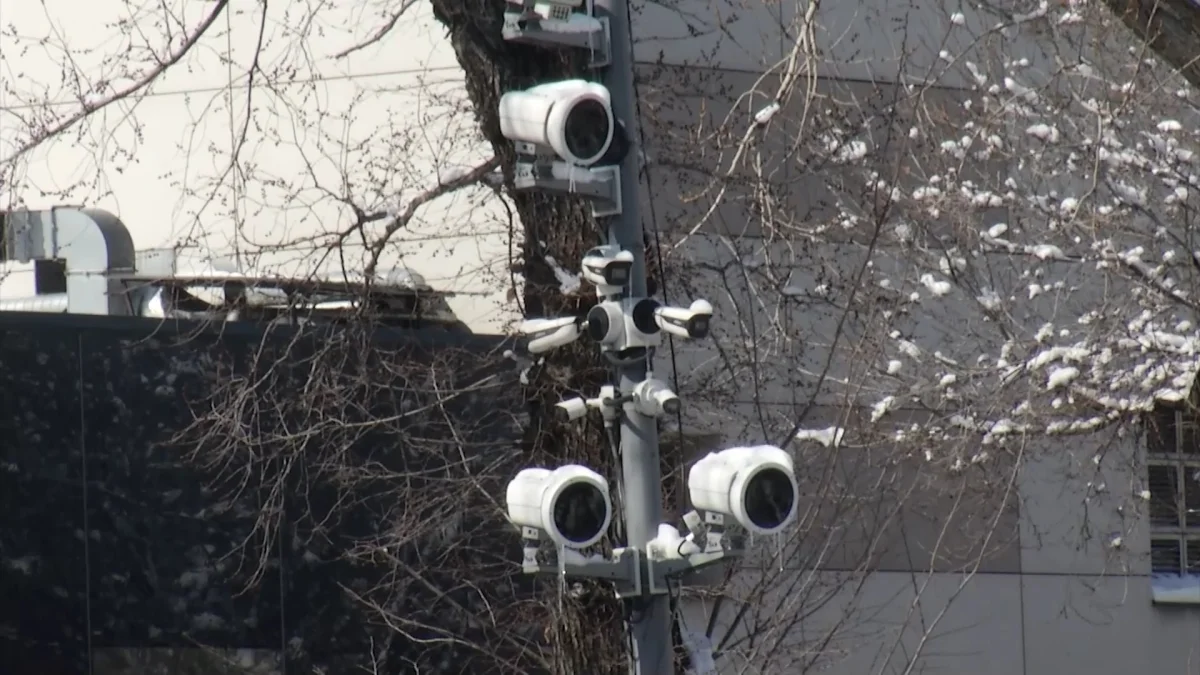 Непристегнутый ремень и телефон в руках водителей будут фиксировать камеры ИИ