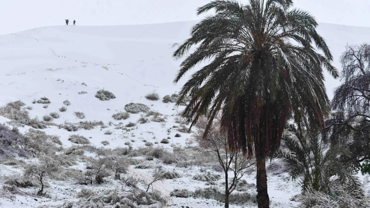 Снег в пустыне Сахара: редкое природное явление удивило туристов