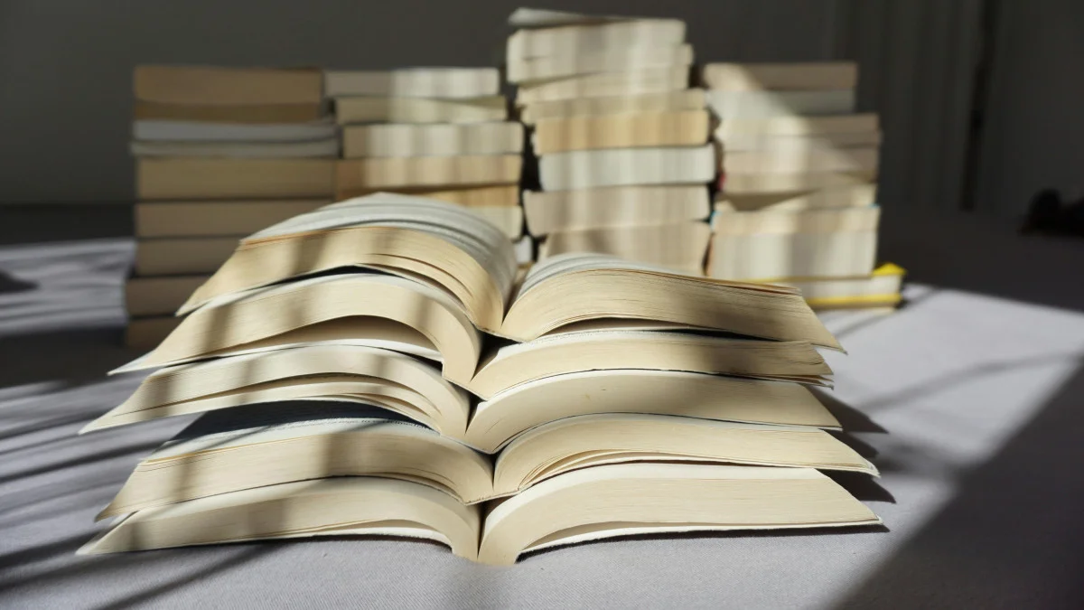 Президенттік арнаулы әдеби сыйлыққа өтінімдер қабылдау басталады