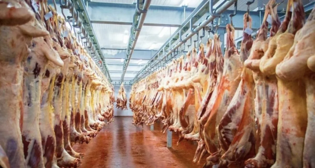 Казахстан экспортировал 7 тонн баранины в ОАЭ за неделю