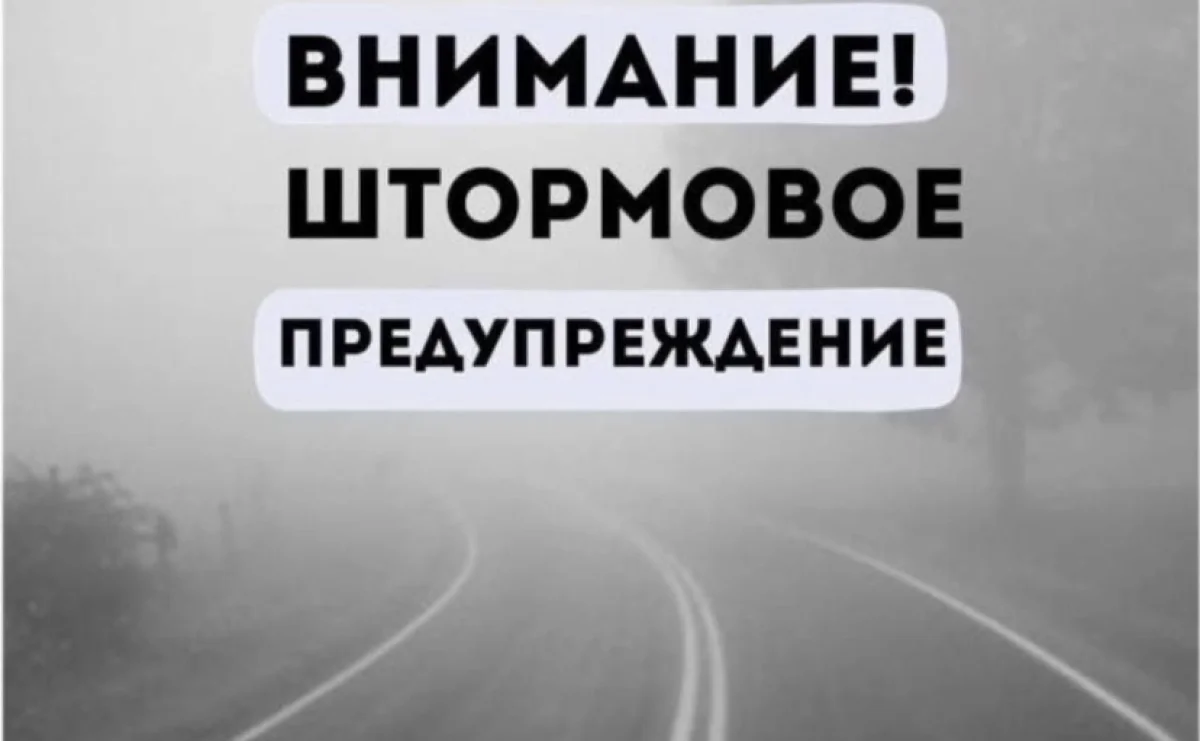 Снег, туман и порывистый ветер: синоптики предупреждают о непогоде