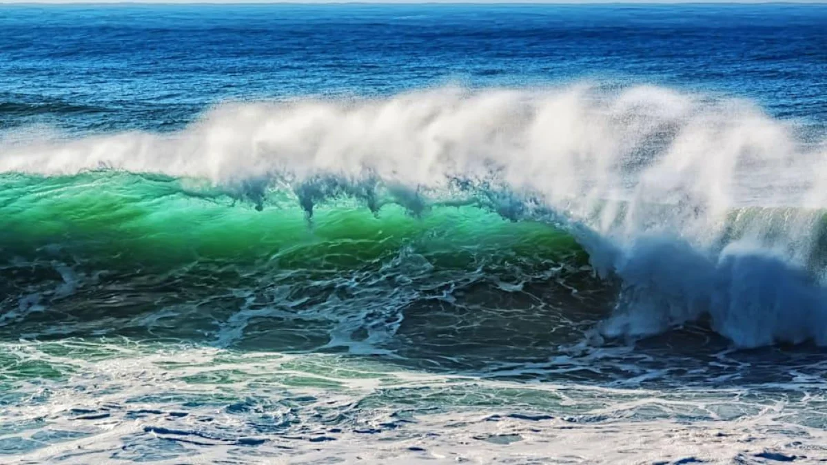 О цунами у берегов Франции предупредили в ЮНЕСКО