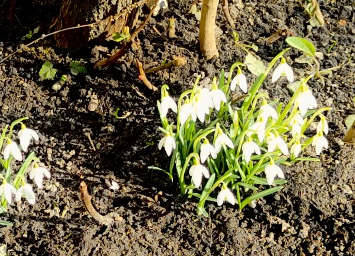 Сильный ветер в Шымкенте, гололед в Астане: погода во вторник, 17 марта