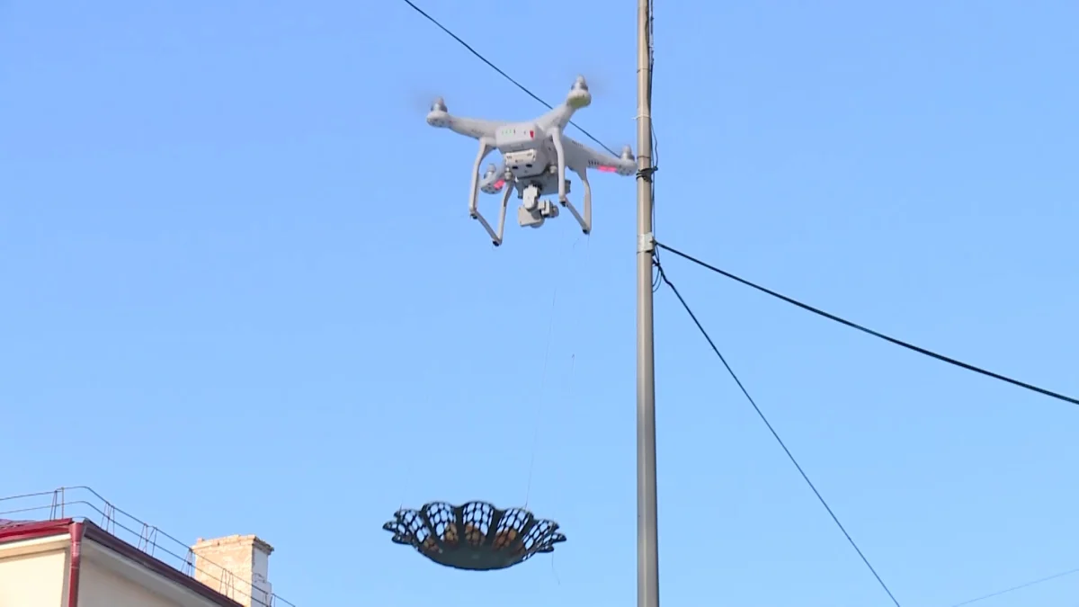 В Центральном парке Караганды дроны угощали горожан баурсаками