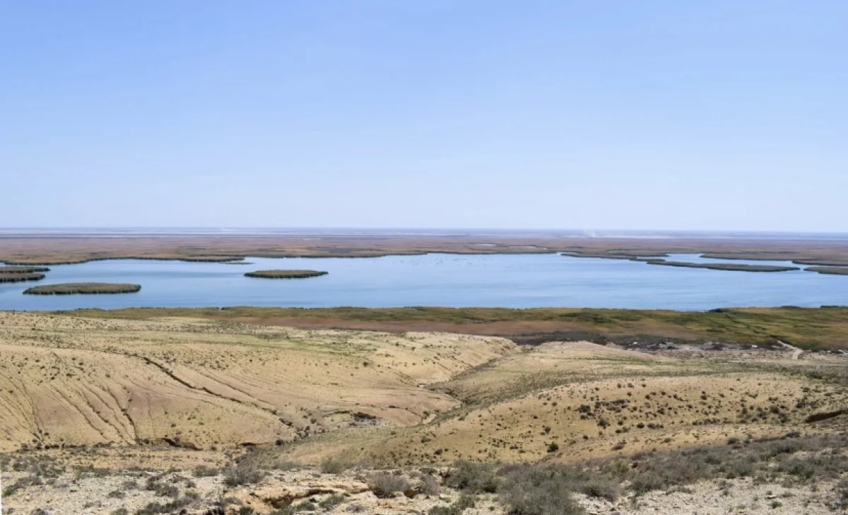 Высохшее дно Арала озеленяют с помощью авиационных технологий
