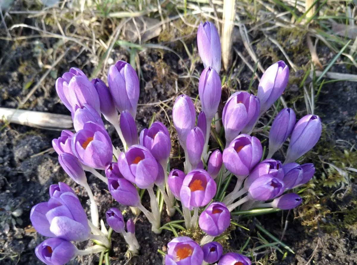 В Астане туман, в Алматы и Шымкенте дождь: погода в понедельник, 23 марта
