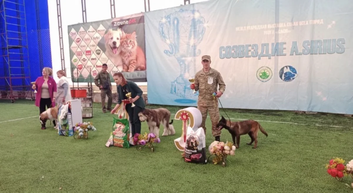 Собаки Нацгвардии завоевали титулы на престижной выставке